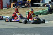 DSC_6995 copie